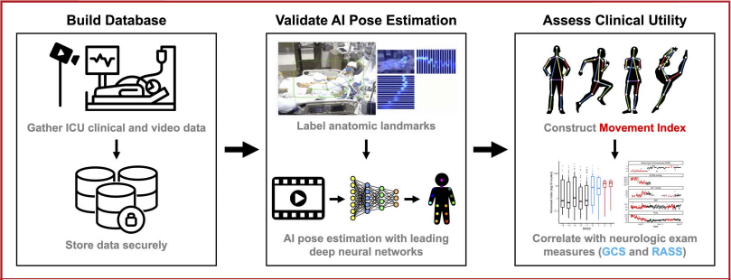 Study workflow showing inpatient video collection, pose-estimation validation, movement-index construction, and comparison with neurological examinations