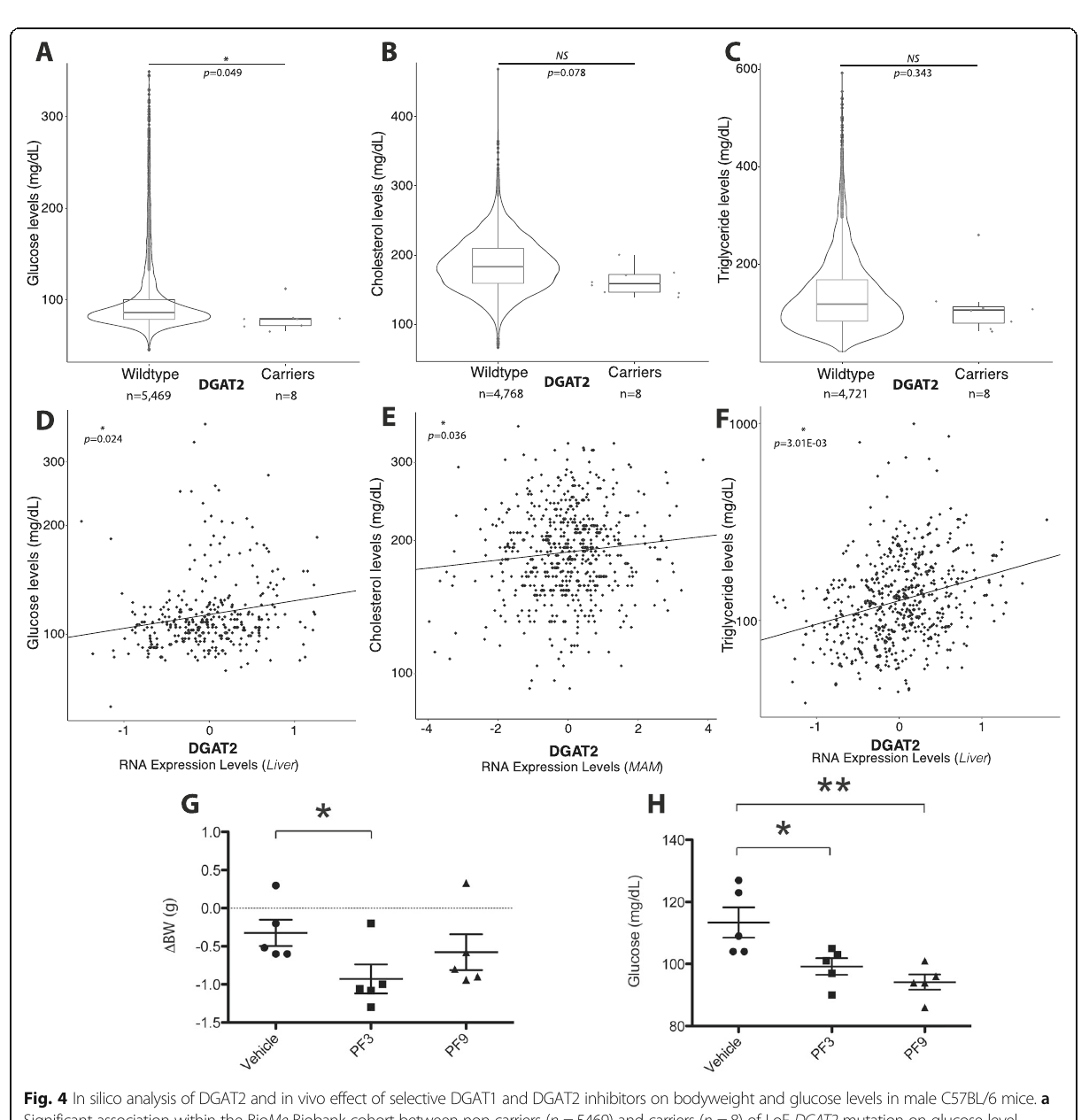 Eight panels linking DGAT2 loss-of-function and expression to metabolic traits and inhibitor experiments